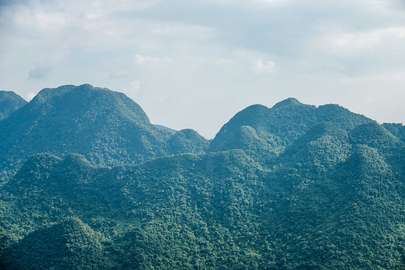 Pù Luông vốn là một khu bảo tồn thiên nhiên, vậy nên điều đó đồng nghĩa với việc, ở đây sở hữu những cánh rừng rậm xanh rì cũng như những suối thác tuyệt đẹp, tạo thành một cảnh quan núi rừng kỳ vĩ và hoang sơ.